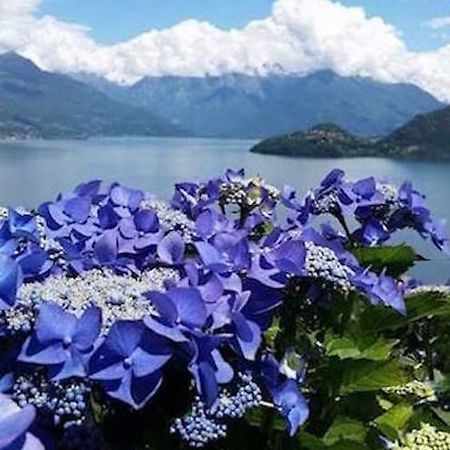 Agriturismo Piccolo Paradiso Pianello Del Lario Dış mekan fotoğraf