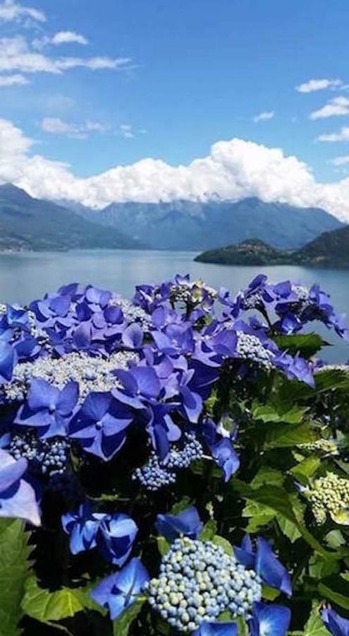 Agriturismo Piccolo Paradiso Pianello Del Lario Dış mekan fotoğraf