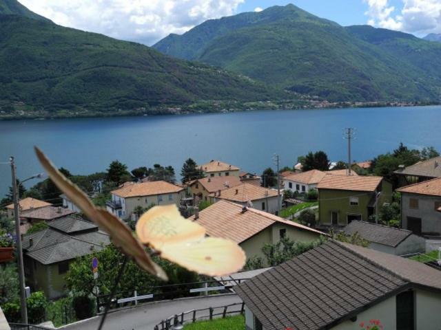 Agriturismo Piccolo Paradiso Pianello Del Lario Dış mekan fotoğraf