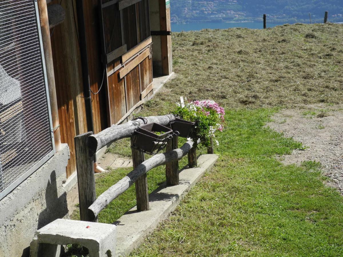 Agriturismo Piccolo Paradiso Pianello Del Lario Dış mekan fotoğraf