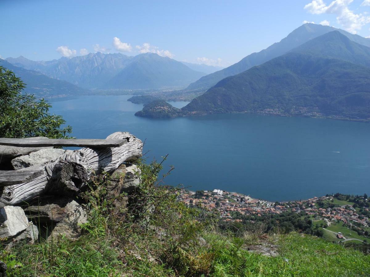 Agriturismo Piccolo Paradiso Pianello Del Lario Dış mekan fotoğraf