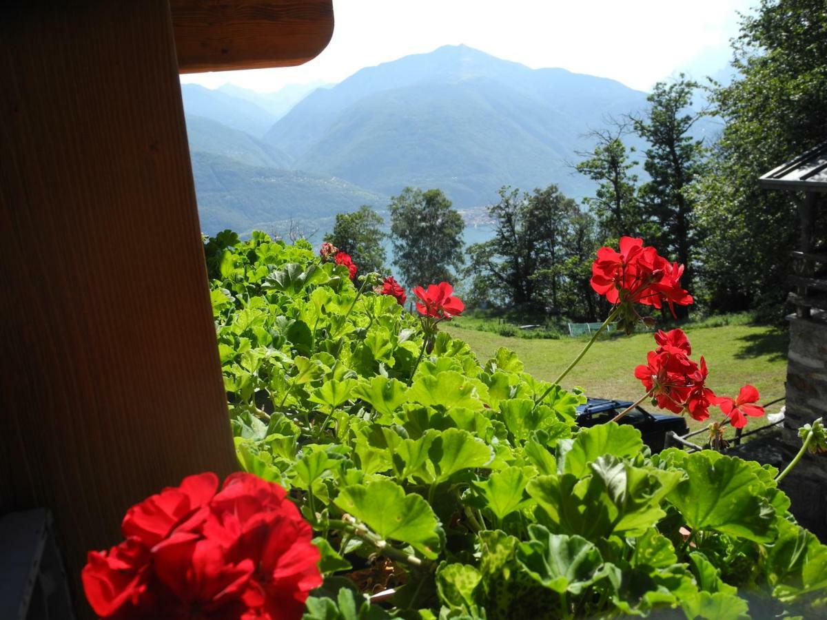 Agriturismo Piccolo Paradiso Pianello Del Lario Dış mekan fotoğraf